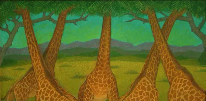 Girafes, 1987